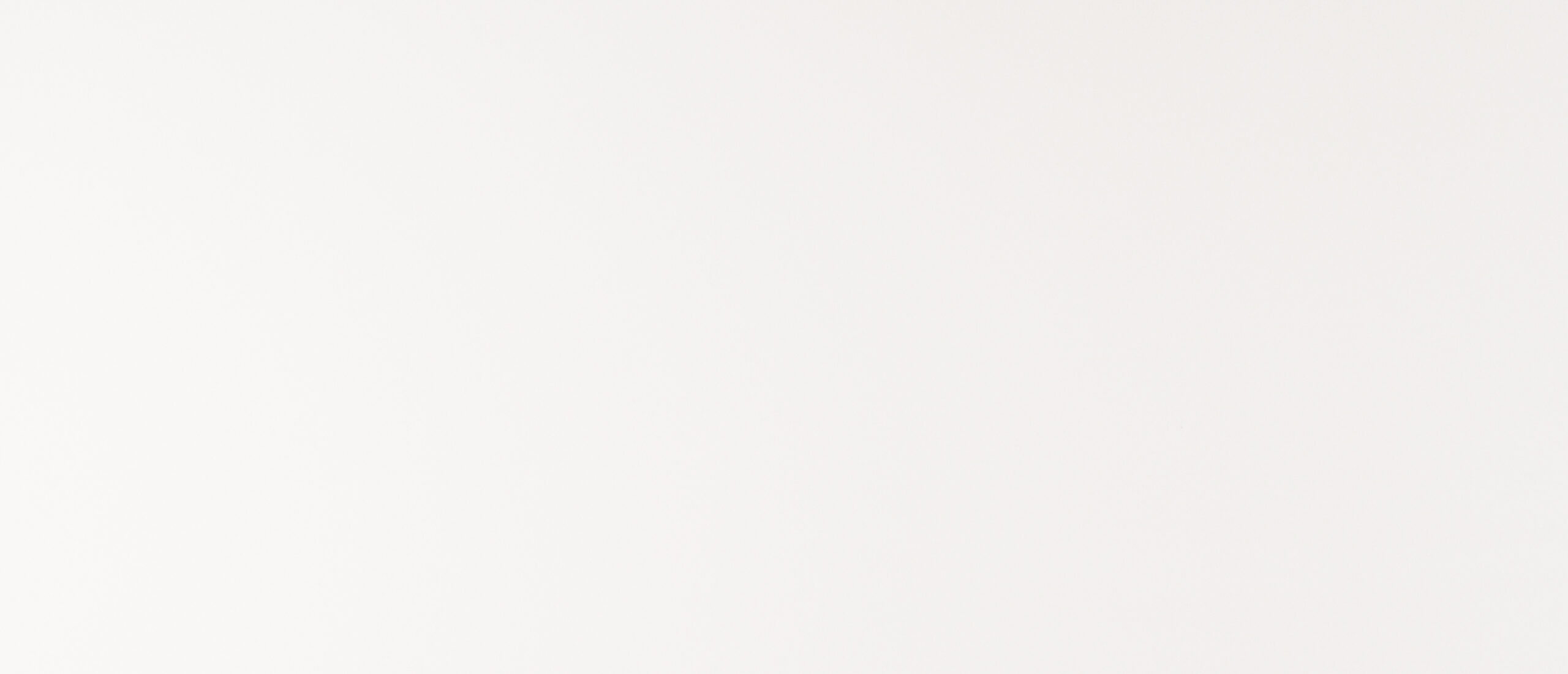 Arctic White