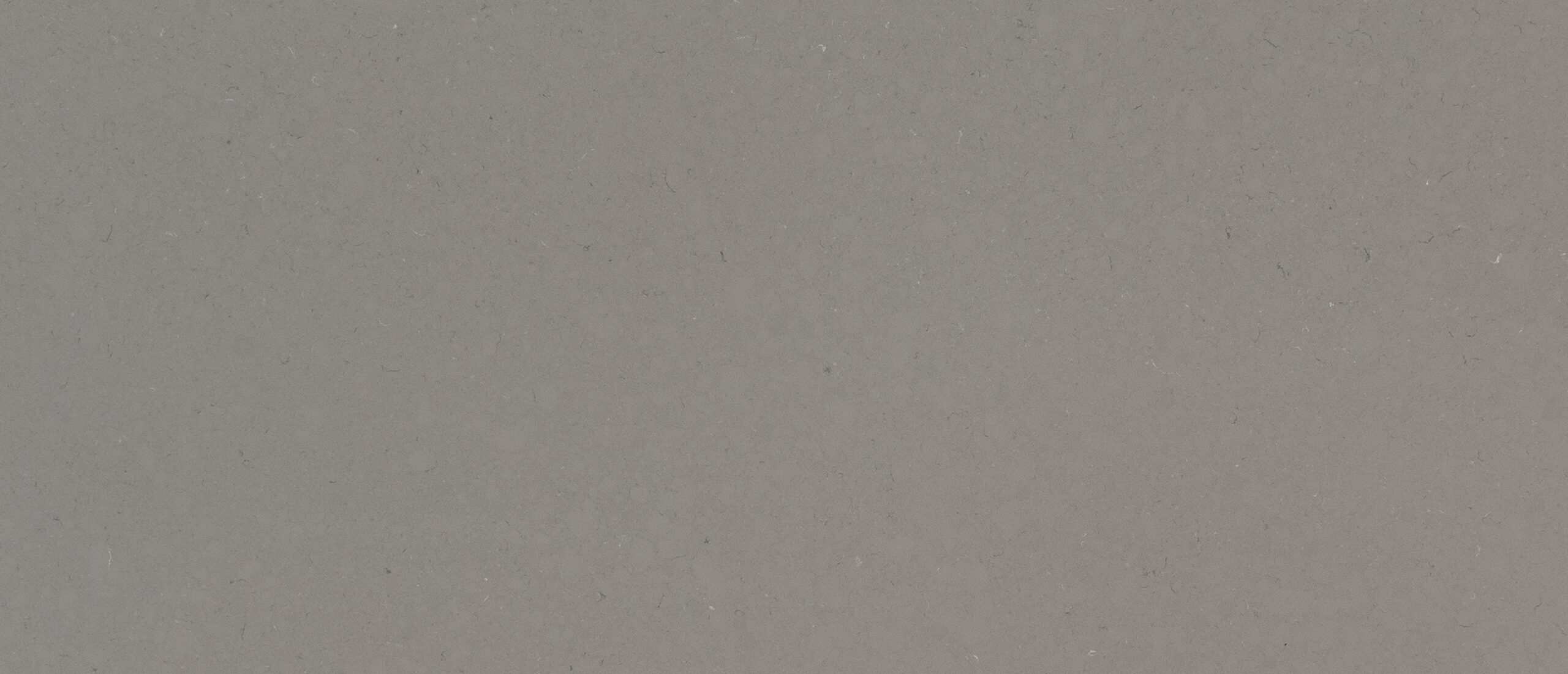 Fossil Gray